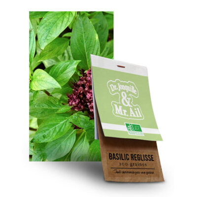 Graine Basilic Réglisse BIO