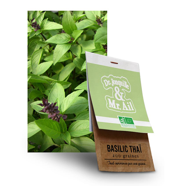 graine-basilic-thai-bio Graine Basilic Thai BIO