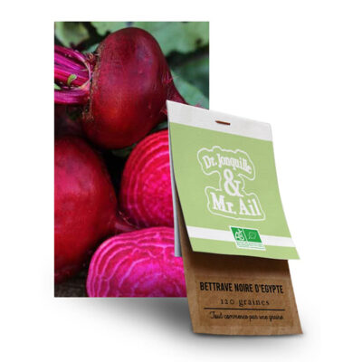 Grain Betterave Noire d'Egypte BIO
