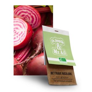 Graine Betterave Bicolore Chioggia BIO