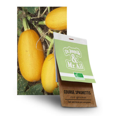 Graine courge spaghettis BIO