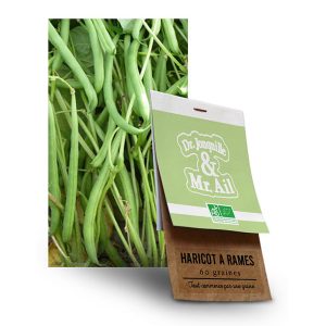Graine Haricot à Rames Neckarkönigin BIO