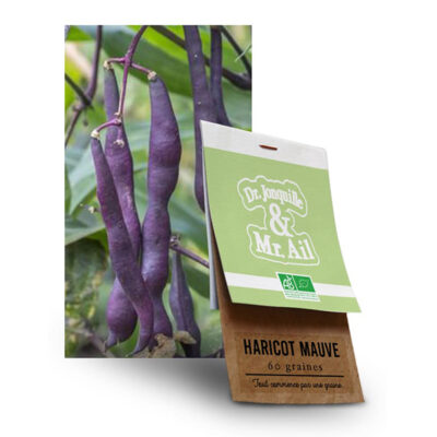 Graine Haricot Burpee Golden BIO