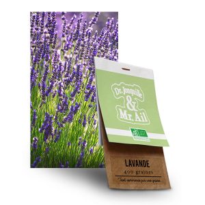Graine Lavande Vraie BIO