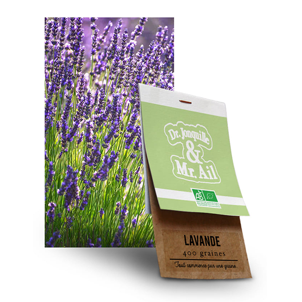 Graine Lavande Vraie BIO