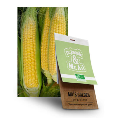 Graine Maïs Golden Bantam BIO
