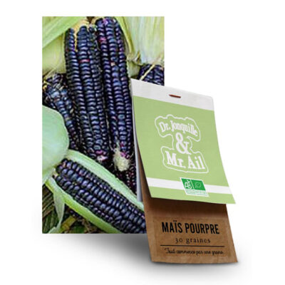 Graine Mais Pop Corn Noir BIO