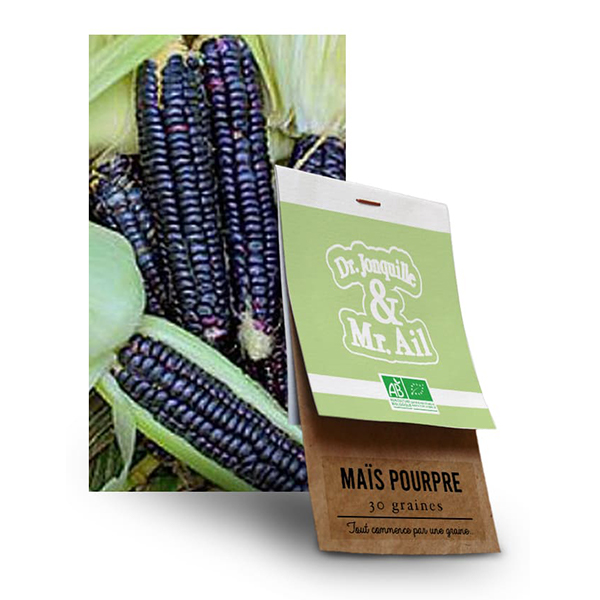 graine-mais-popcorn-noir-bio Graine Mais Pop Corn Noir BIO