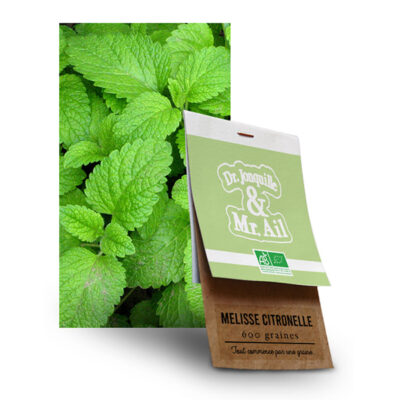 Graine Melisse Citronnelle BIO