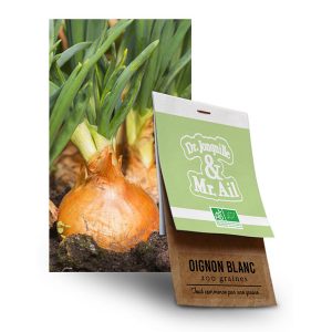 Graine Oignon Blanc BIO