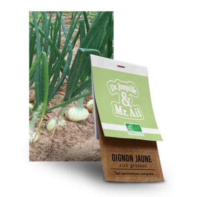 Graine Oignon Jaune BIO