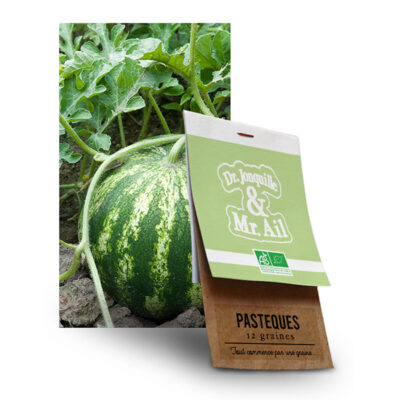 Graine Pastèque BIO