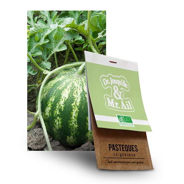 graine-pasteques-sugar-baby-bio Graine Pastèque BIO