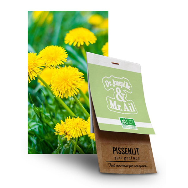 Graine Pissenlit Dent de Lion BIO
