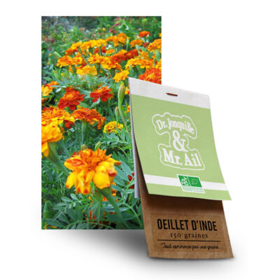 Graine Tagete Oeillet d'Inde BIO