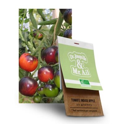 Graine Tomate Bleue Indigo Apple BIO