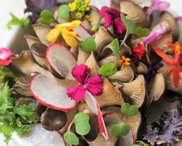 Quelles fleurs se mangent et comment les consommer