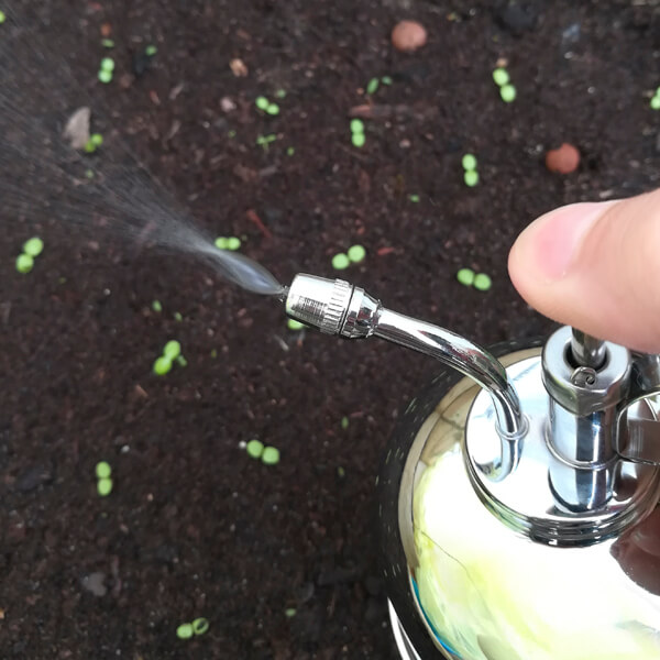 vaporisateur-nickel-potager-exterieur-2 Dr. Jonquille & Mr. Ail - Vaporisateur en nickel