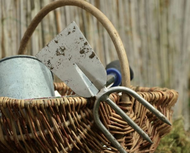 Les 6 outils de jardinage indispensables pour débuter au potager