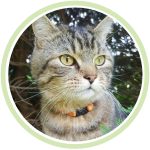 La-ruche-présentation