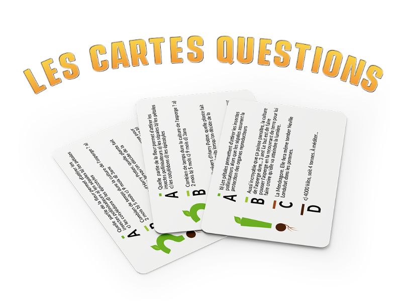 carte-questions-800x600