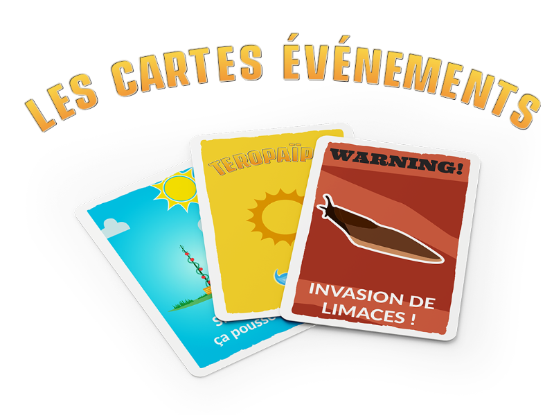 cartes-evenement_800x600