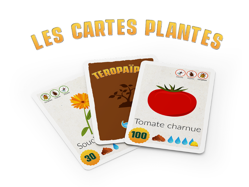 cartes-plantes-800x600