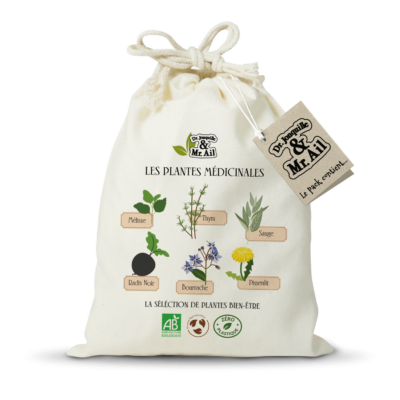 Kit de jardinage - Les plantes médicinales
