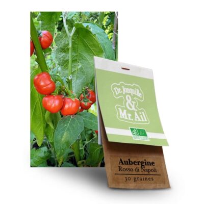 Graines bio - Aubergine Rosso di Napoli - Dr. Jonquille & Mr. Ail