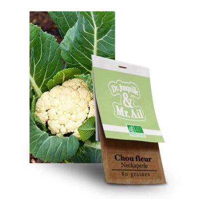 Graines Bio - Chou Fleur Neckarperle - Dr. Jonquille & Mr. Ail