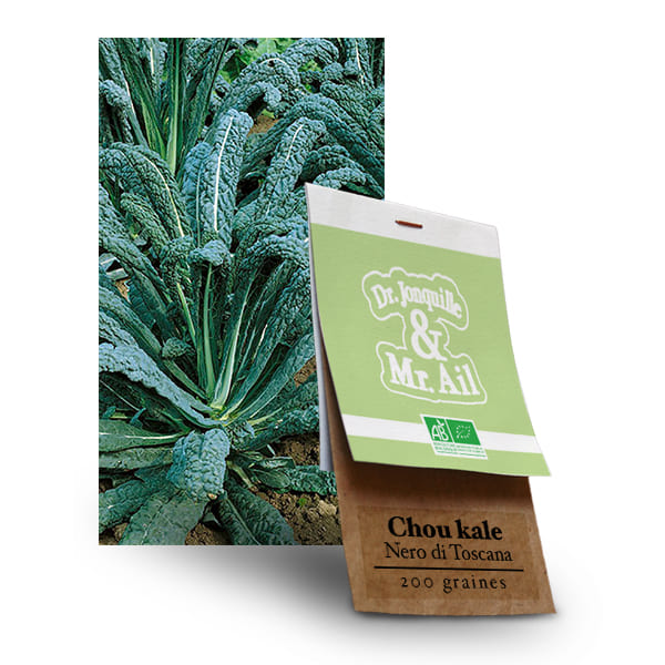 Graines Bio Chou Kale - Nero di Toscana Graines Bio Chou Kale Noir de Toscane - Dr. Jonquille & Mr. Ail