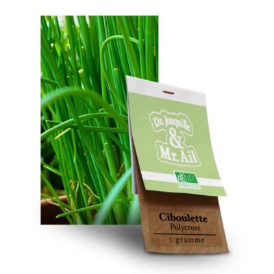 Graines Bio Ciboulette Polycross - Dr. Jonquille & Mr. Ail