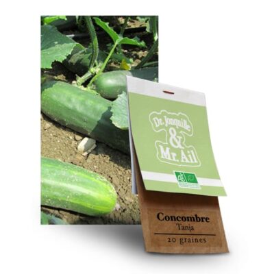 Graines Bio Concombre Tanja - Dr. Jonquille & Mr. Ail