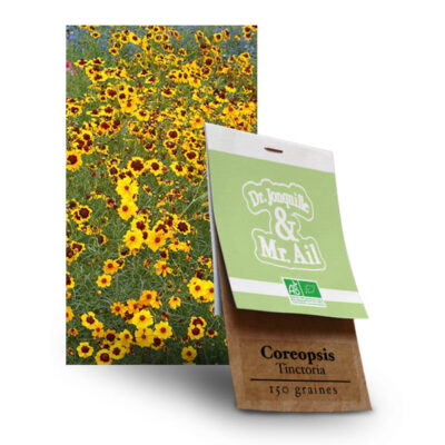 Graines Bio Coreopsis Tinctoria - Dr. Jonquille & Mr. Ail