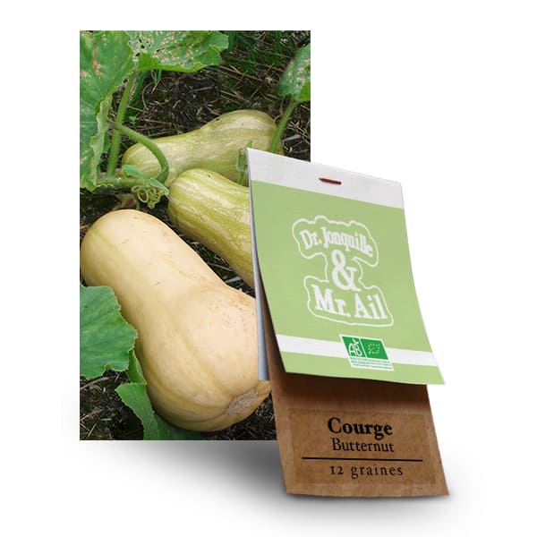 Graines Bio Courge - Butternut Graines Bio Courge Butternut - Dr. Jonquille & Mr. Ail