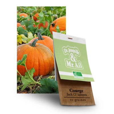Graines Bio - Courge Jack O'lantern BIO - Dr. Jonquille & Mr. Ail