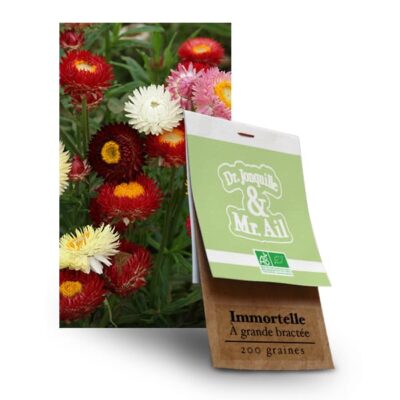 Graines BIO Immortelle à Bractée Monstrueuse - Dr. Jonquille & Mr. Ail