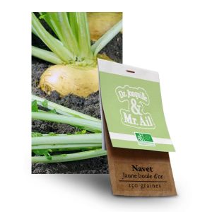 Graines Bio Navet Jaune Boule d'Or - Dr. Jonquille & Mr. Ail