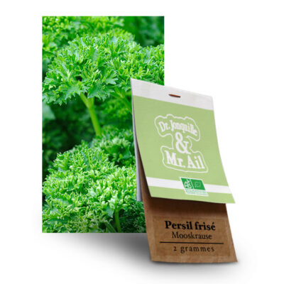 Graines Bio Persil Frisé Mooskraus