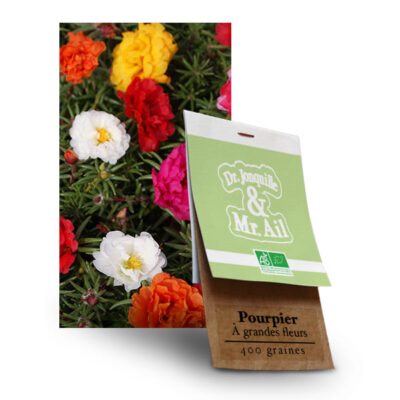 Graines bio Pourpier à Grandes Fleurs - Dr. Jonquille & Mr. Ail