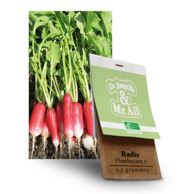 Graines Bio Radis Flamboyant 2 - Dr. Jonquille & Mr. Ail