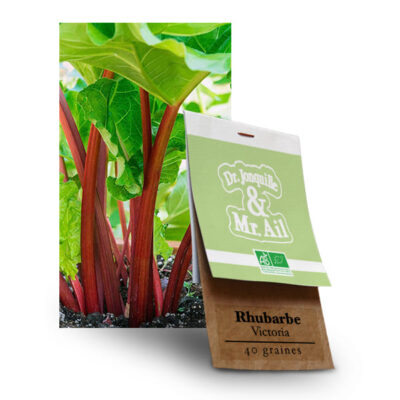 Graines bio Rhubarbe Victoria .-