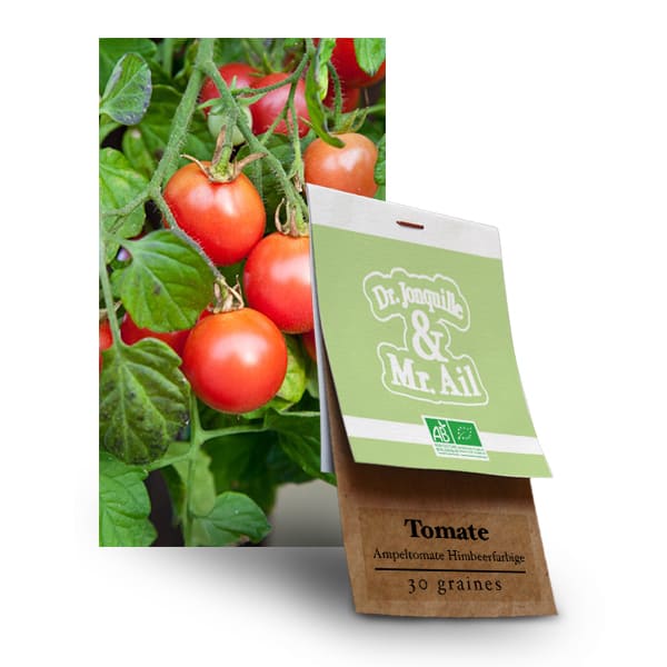 Graines bio Tomate - Ampeltomate Himbeerfarbige Graines Bio - Tomate Ampeltomate Himbeerfarbige - Dr. Jonquille & Mr. Ail