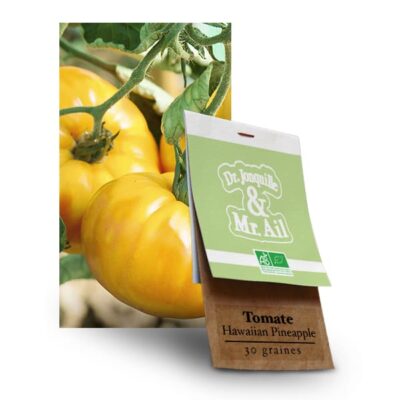 Graines Bio Tomate Hawaian Pineaple - Dr. Jonquille & Mr. AIl