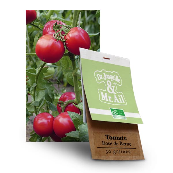 Graine bio Tomate - Rose de Berne Graines bio Tomate Rose de Berne - Dr. Jonquille & Mr. Ail
