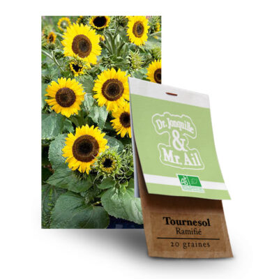 Graines Bio Tournesol Ramifié