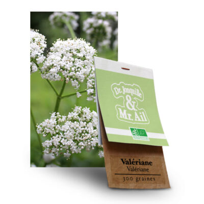 Graines de valériane officinale BIO