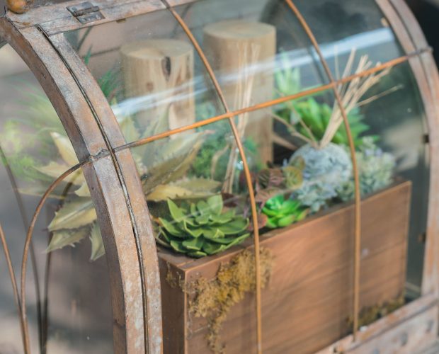 Comment fabriquer une mini serre pour semis - Blog - Dr. Jonquille & Mr. Ail