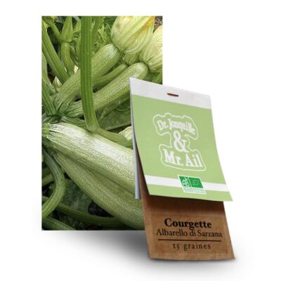 graine courgette Albarello di Sarzana bio - Dr. Jonquille & Mr. Ail