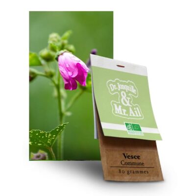 Graines Bio et Reproductibles Vesce Commune